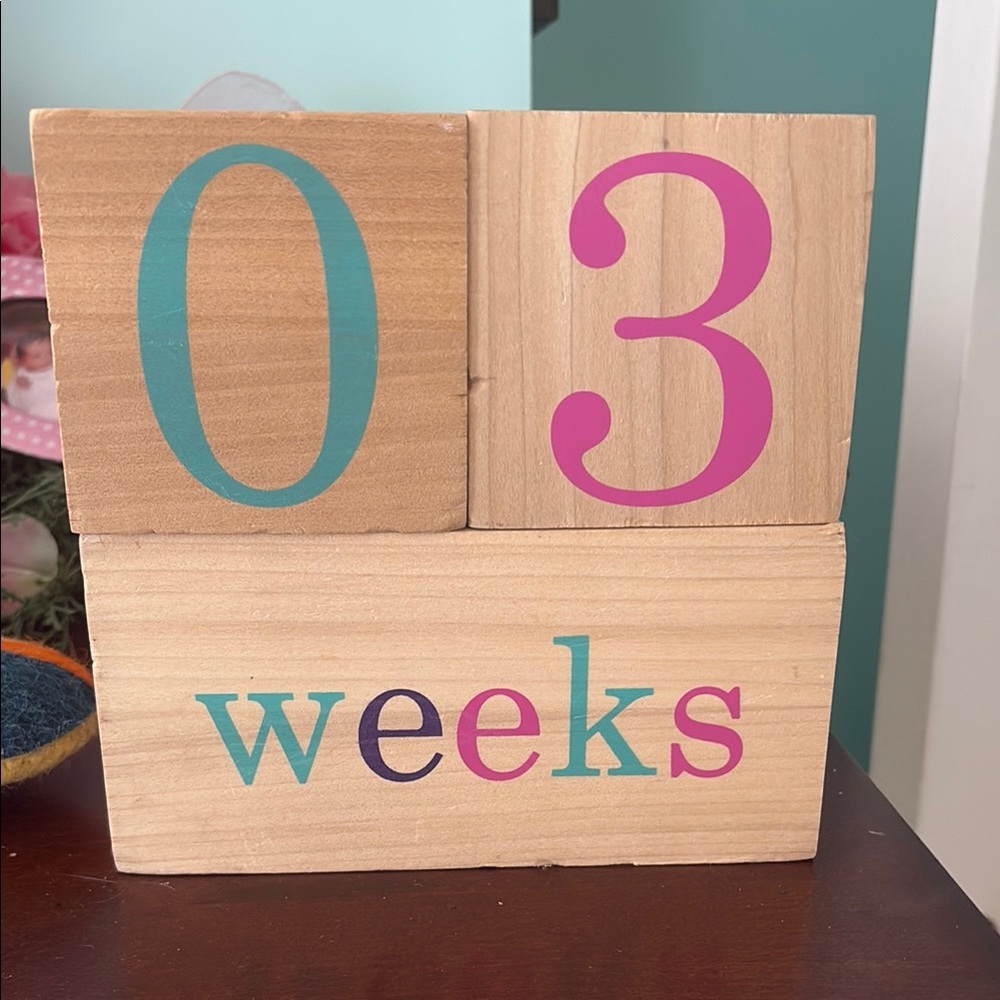 Colorful Wooden Milestone Blocks